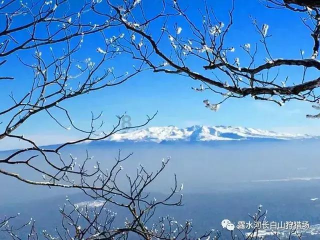 《幻兽帕鲁》异构格里芬高塔BOSS骑乘介绍